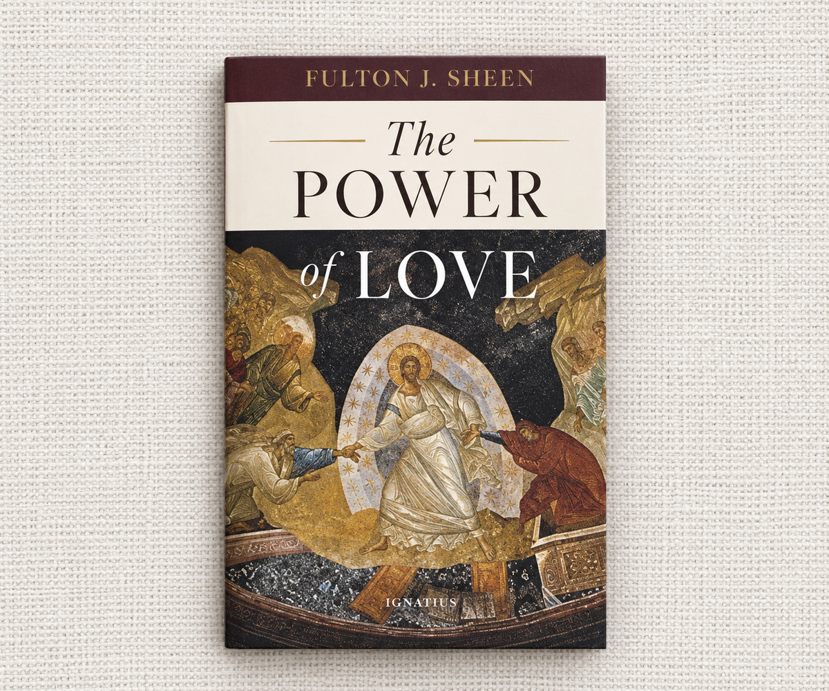 The Power of Love